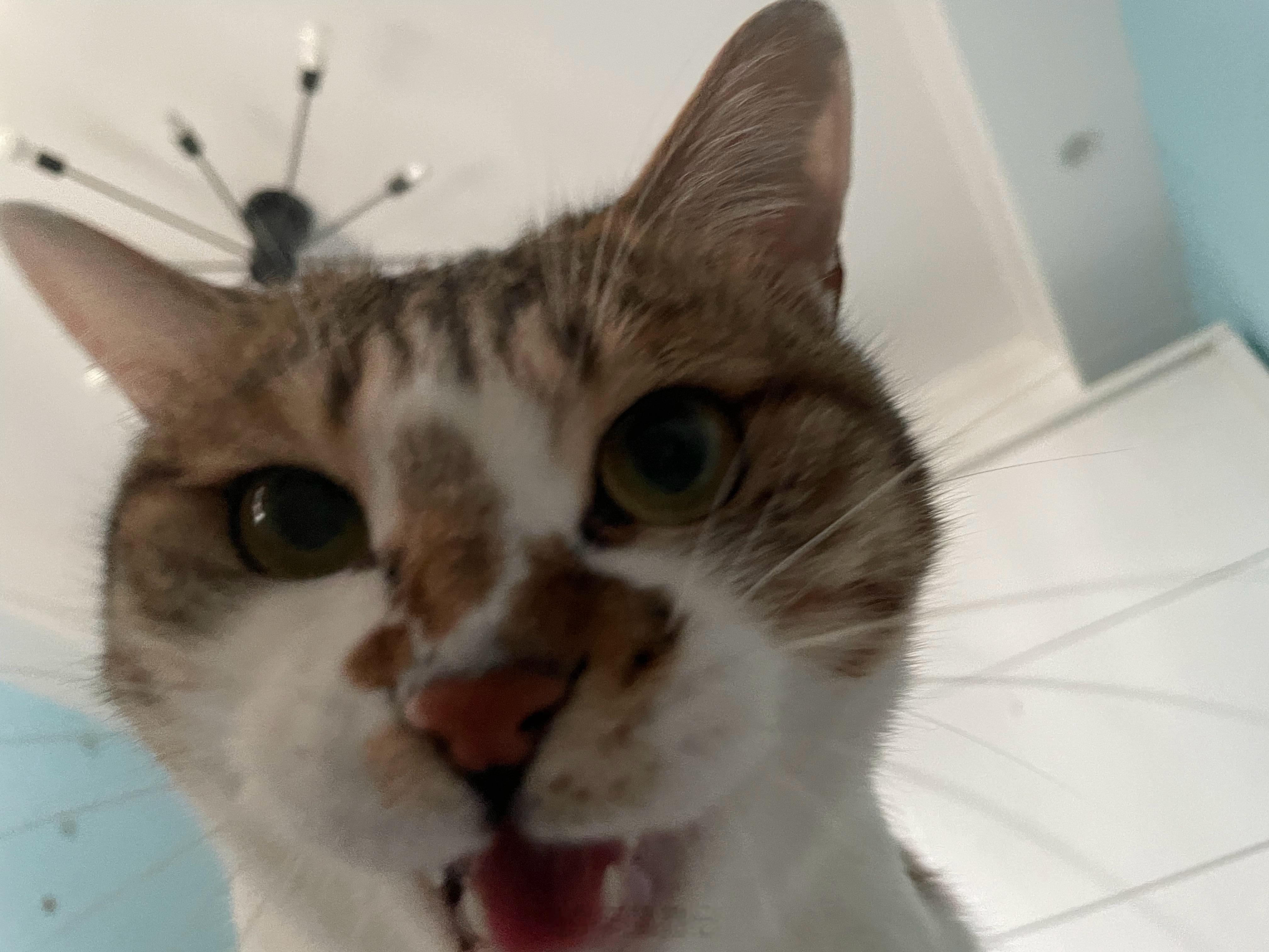 起床起床起床！！ 