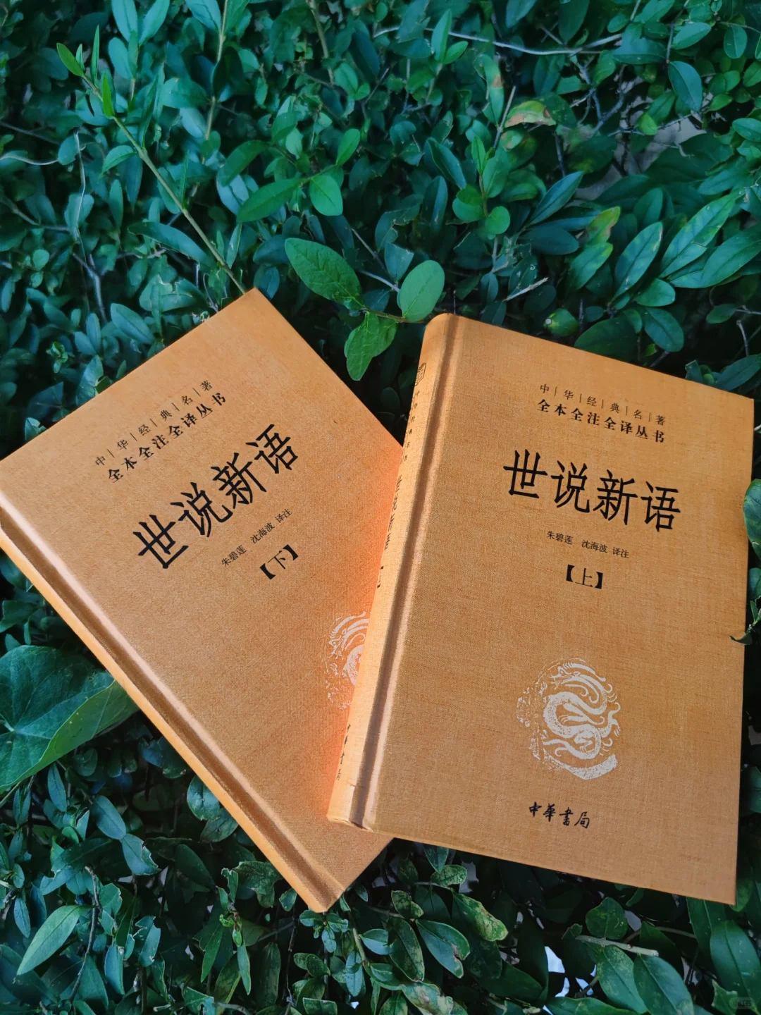 最经典的《世说新语》版本，中华书局你值得