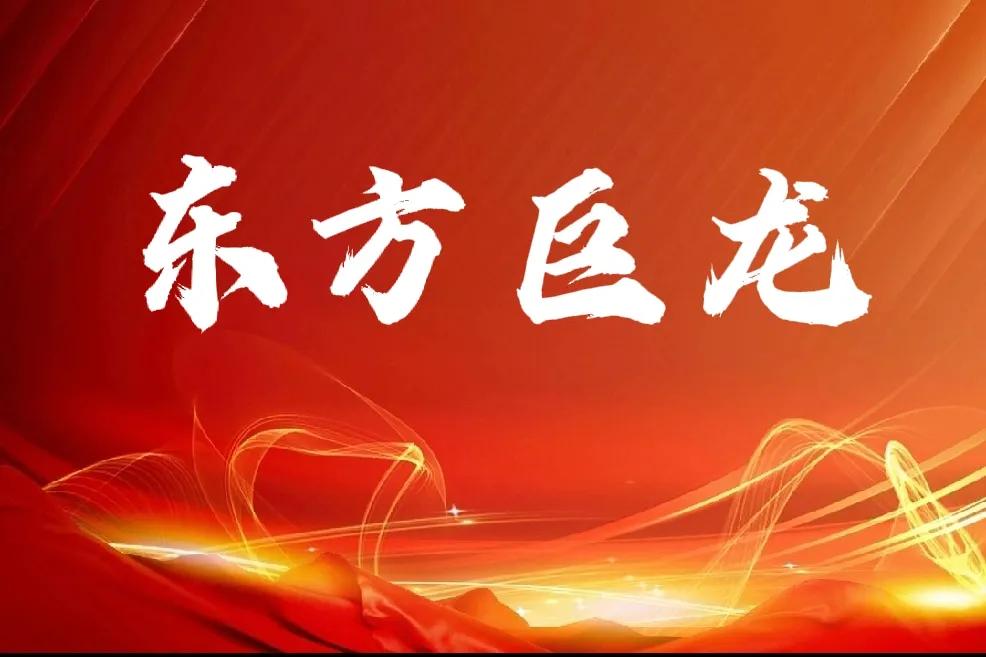 东方科技巨龙！
1、2月17日民营企业家座谈会释放出什么信号？
     1）D