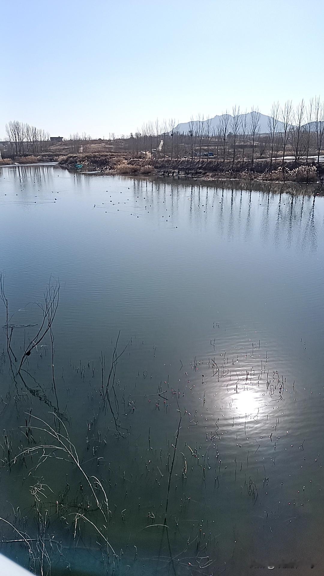 今年冬天的不同