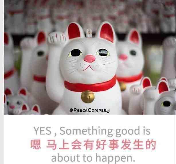 “的你，五月会收到一个开心到爆的好消息” ​​​