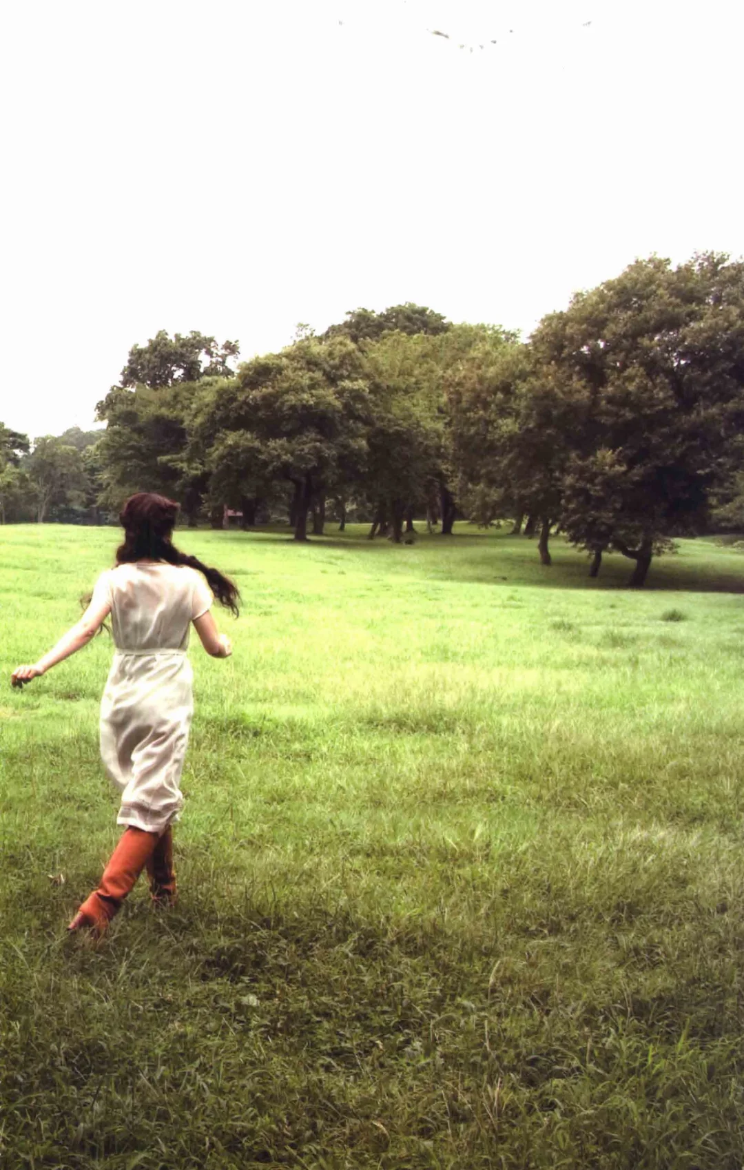 时至今日，我看到大S的内容仍然会潸然泪下。