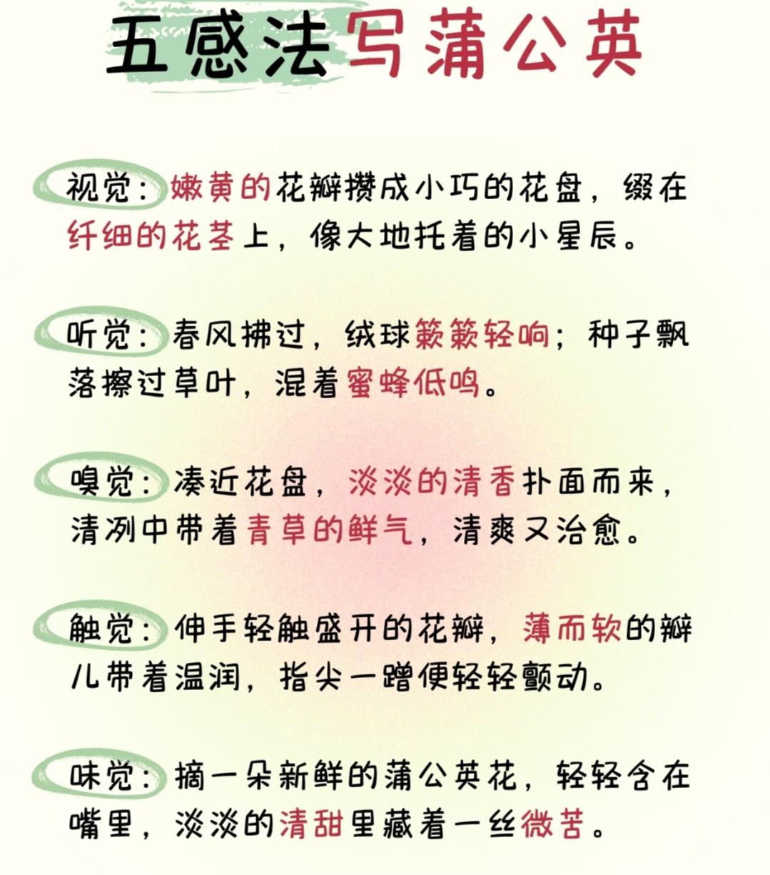 【五感法写作文】五感法写蒲公英
 
视觉：嫩黄的花瓣攒成小巧的花盘，缀在纤细的花