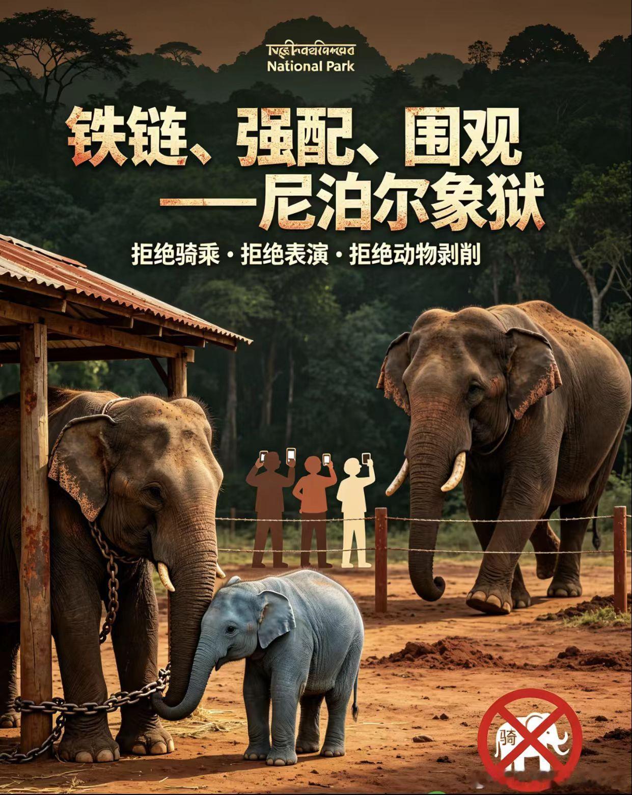 以为是爱心打卡，其实是终身囚禁 🐘💔去尼泊尔奇旺，别再去“大象繁育中心”了！