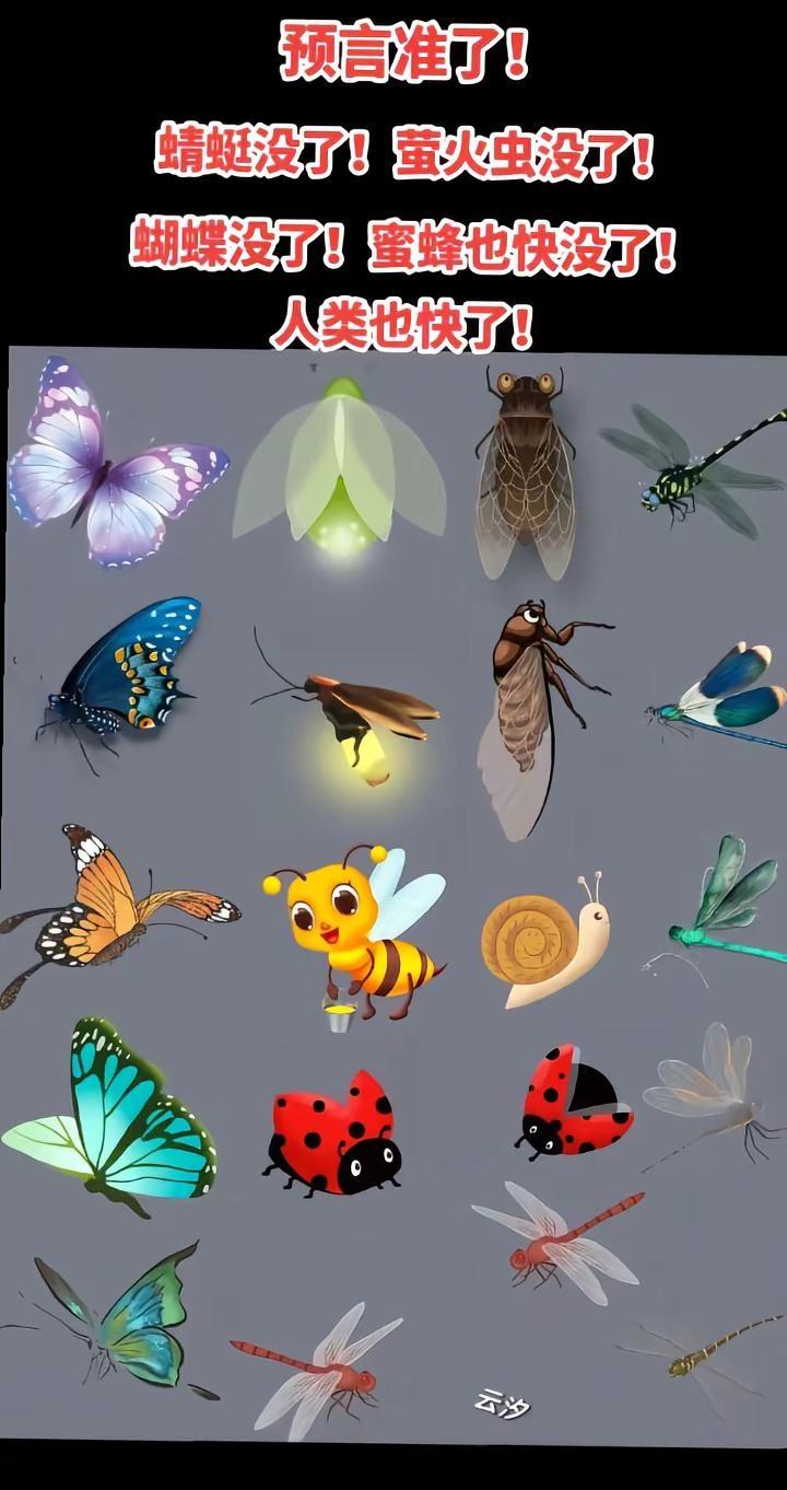 全国的老百姓都来监督那些放无人机的，问他们放无人机干什么？无人机身上带的什么？洒