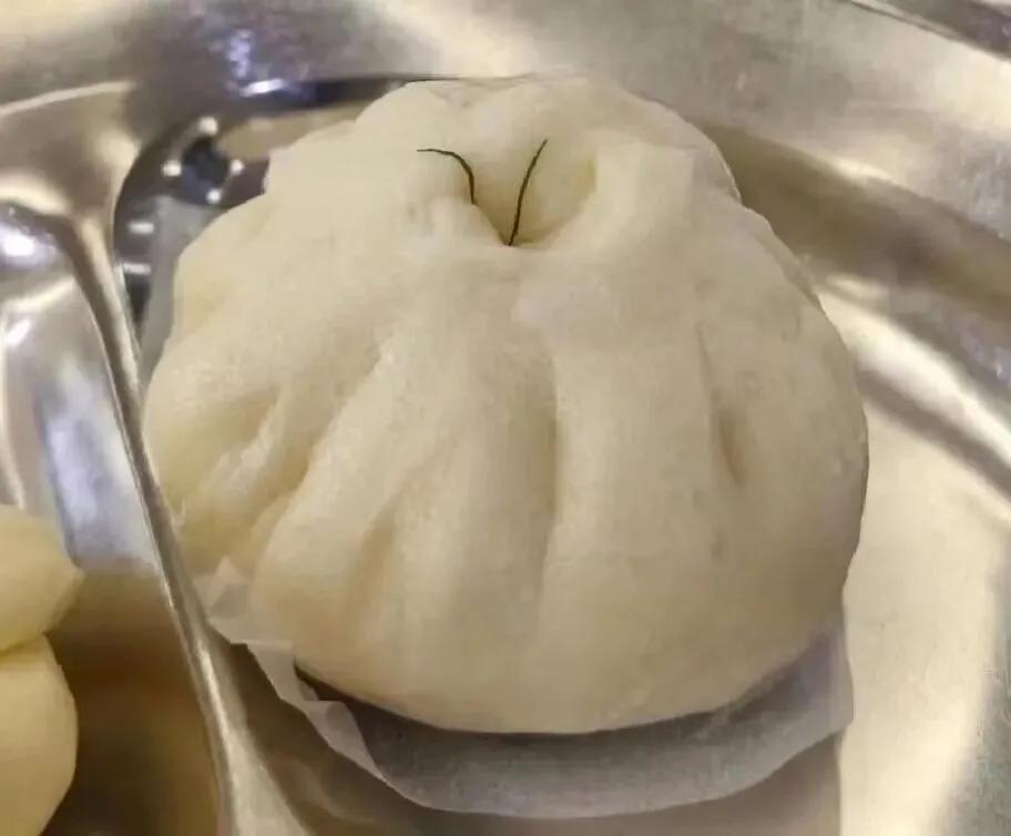 你们才里面是什么？？？？
