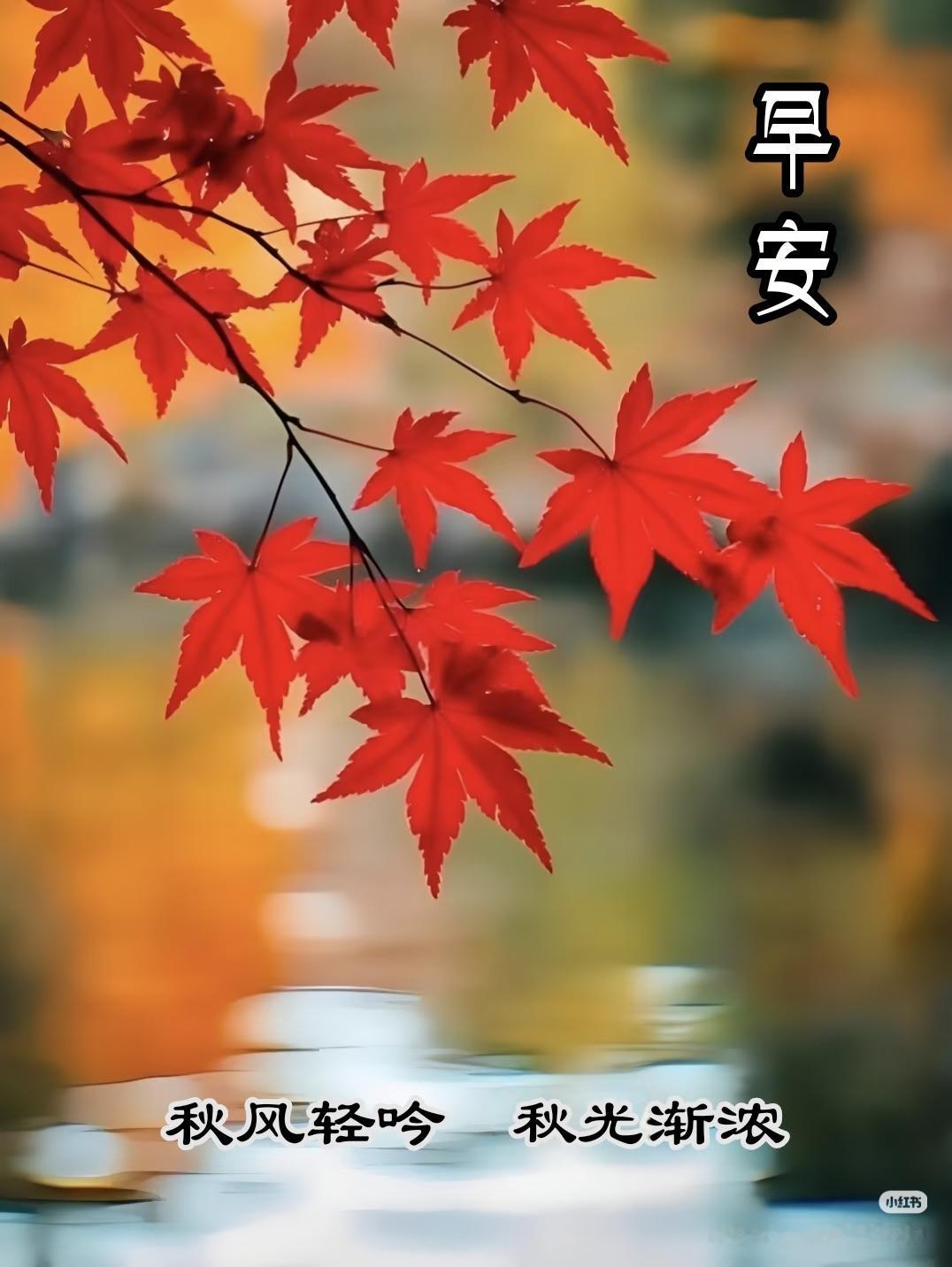 早上好，今天是10月12日星期一。
海南排球邀请赛10月16日_18日在海口体育