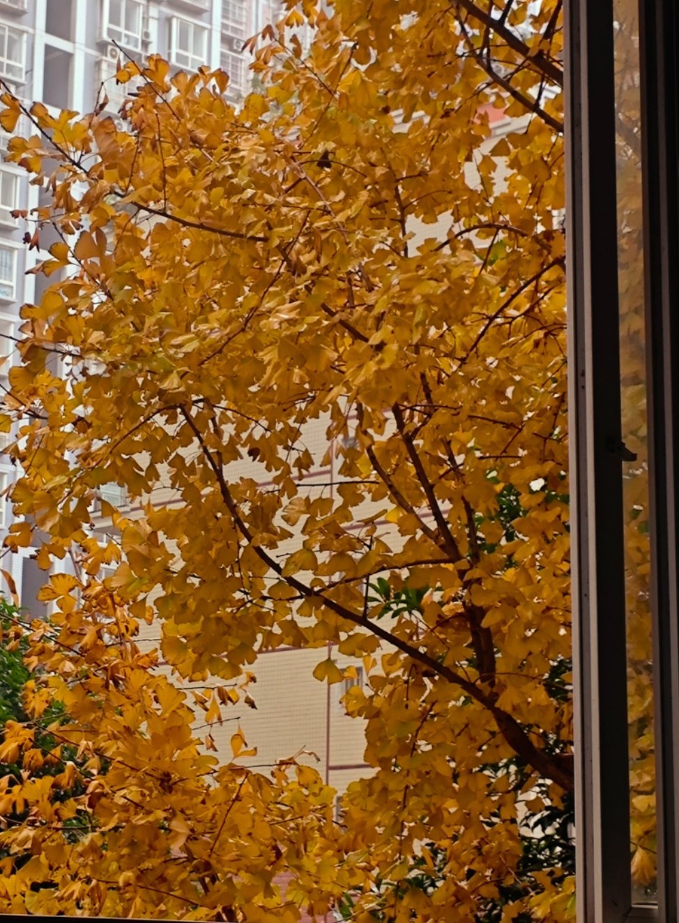 苏州人的该省则省还是太全面了江浙沪做人家是刻在骨子里的理性江浙沪人手里有钱但心里