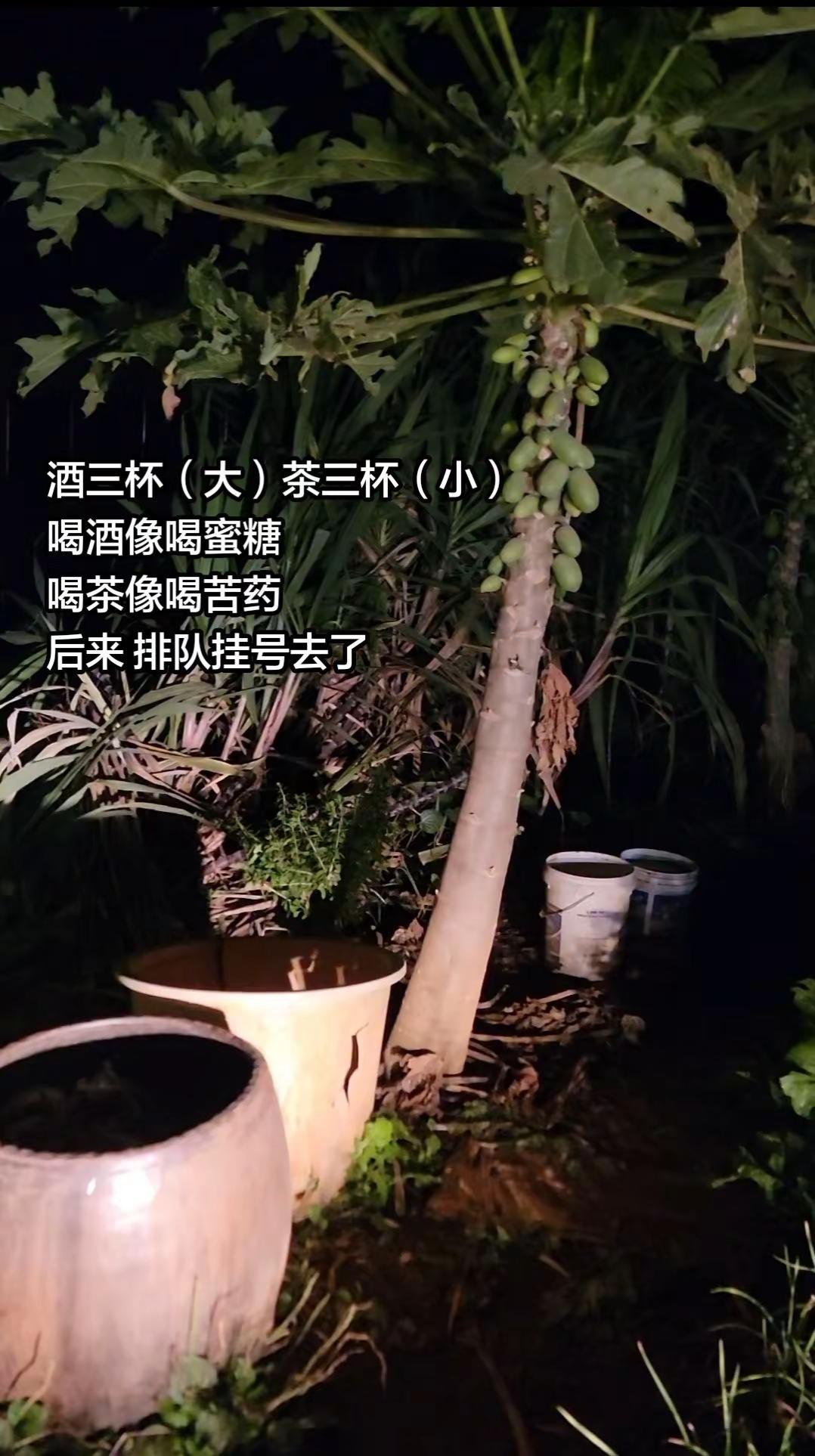 没见烟能扳倒人，只有酒。健康