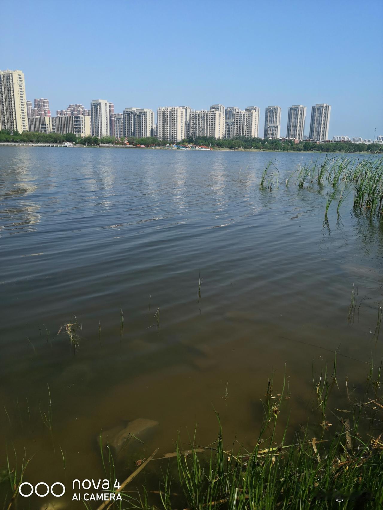 很多人以为，江湖就是刀光剑影、打打杀杀。
其实真正的江湖，从来都不是厮杀争斗。