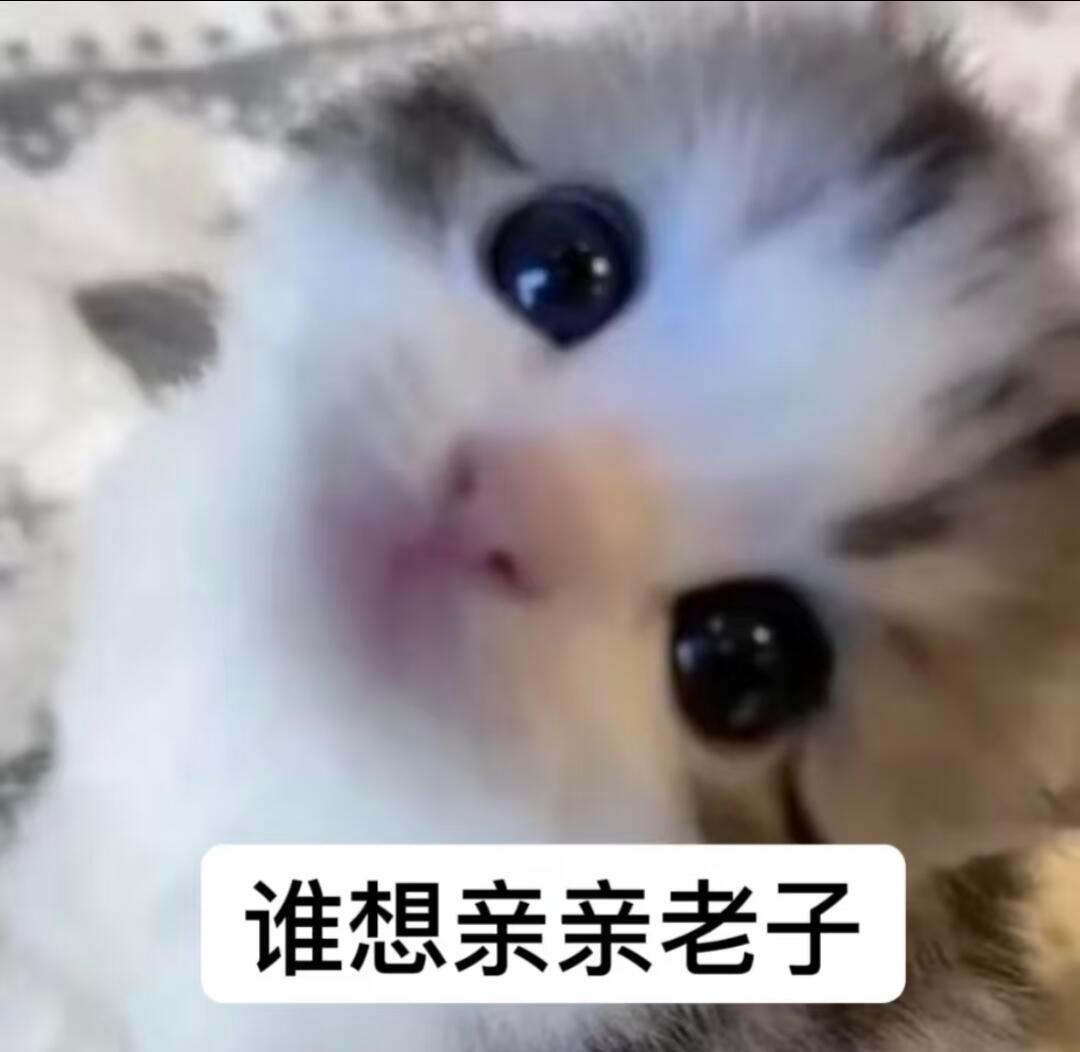 人生总是有许多的不如意，我们要放宽心。舍得舍得，有舍才有得。我们舍得笑容，得到的