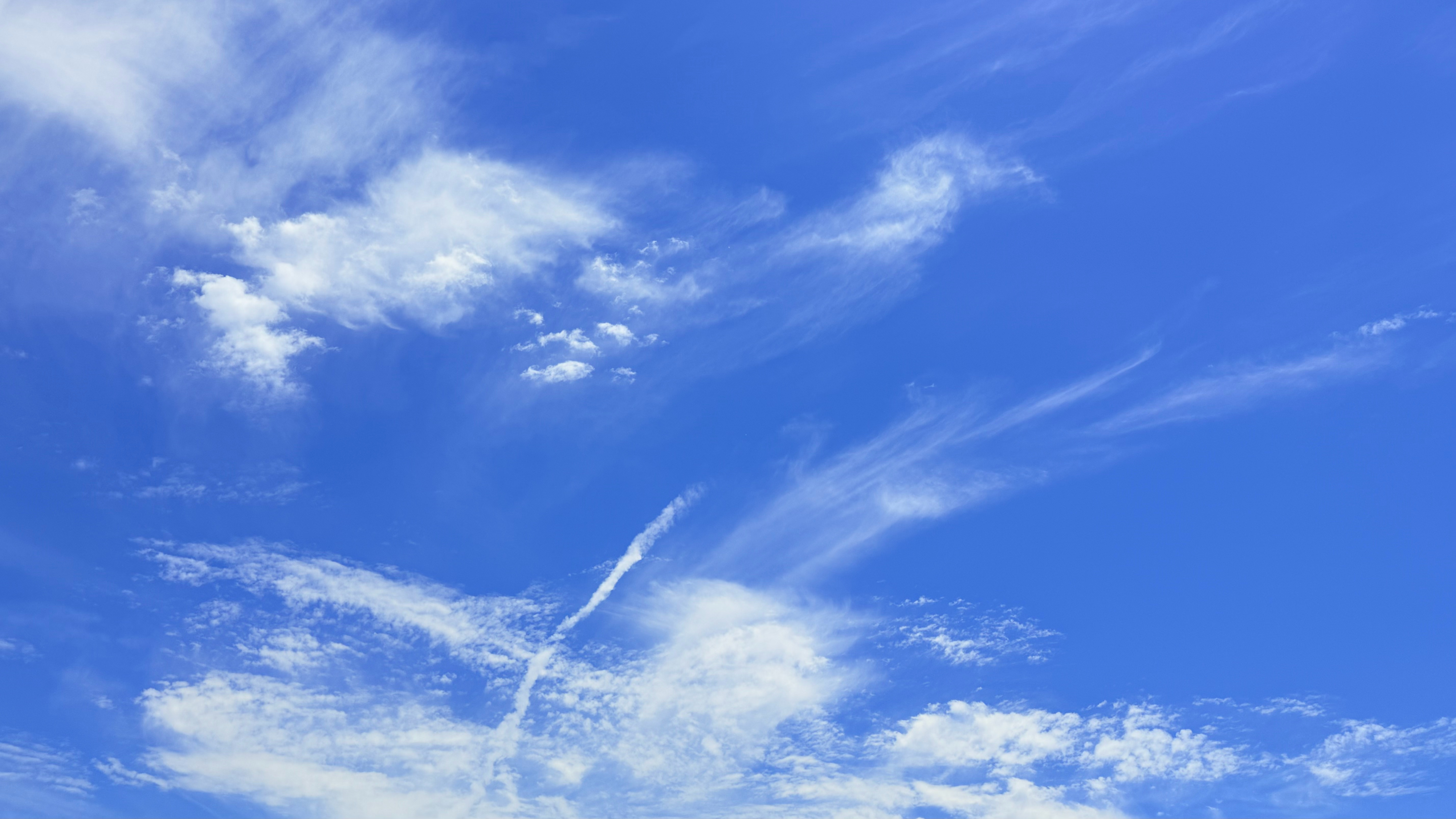 有鸟鸣的天空似乎更加广阔。 