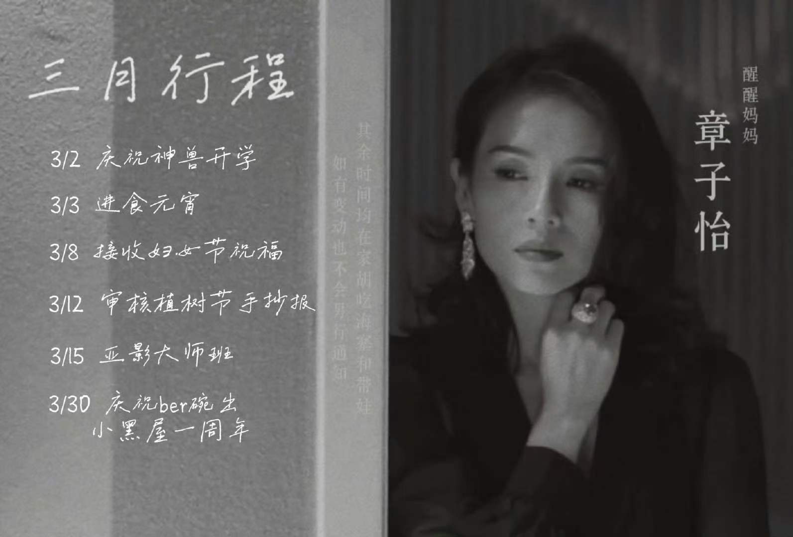 章子怡粉丝自制行程图章子怡粉丝做的三月行程图章子怡粉丝做的三月行程图 松弛成这样