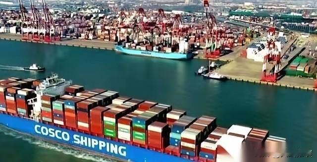 一纸禁令下来，风向全变了。

特朗普一纸禁令，直接让网上炸开了锅，好多人都在瞎担