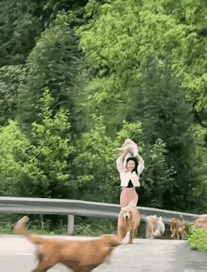 担心狗的反应很特别