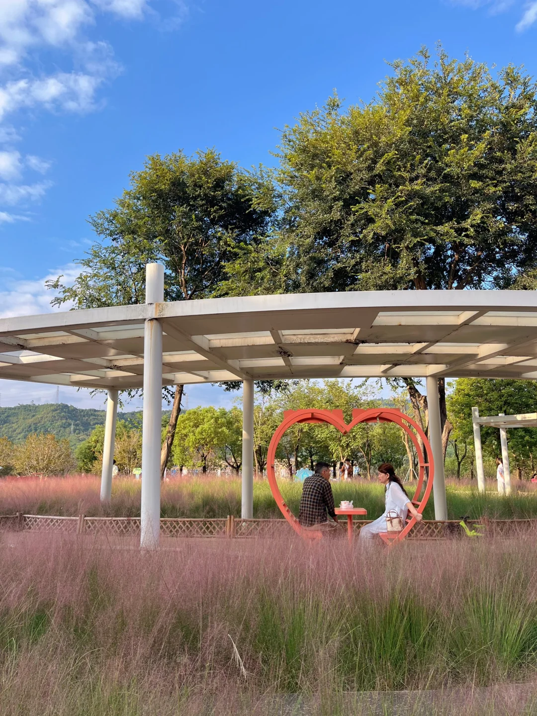 福州植物｜牛岗山的粉黛与桂花有没有吸引你