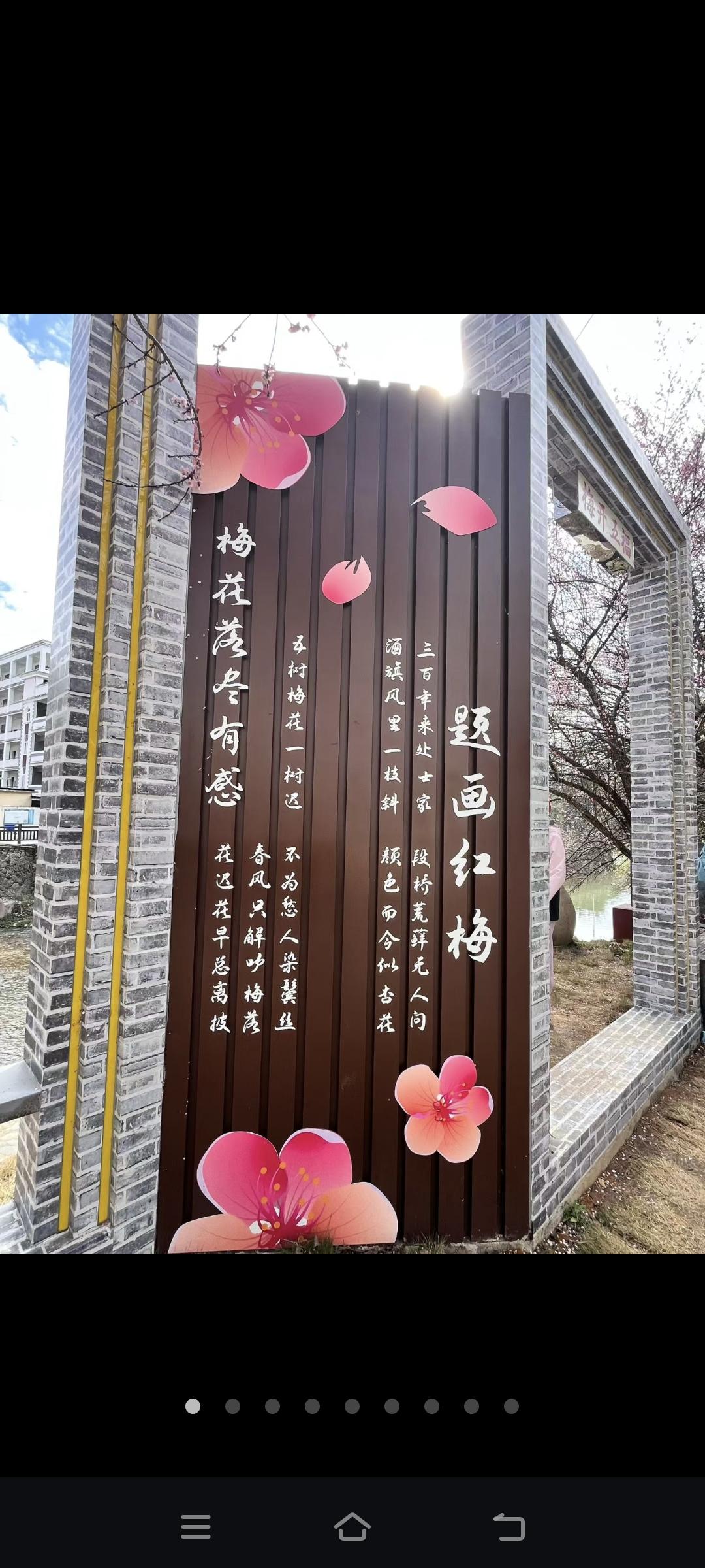 漳州梅林古镇朵朵梅花争相绽放，清淡的花香沁人心脾，成群的蜜蜂采集着花蜜，再加上花