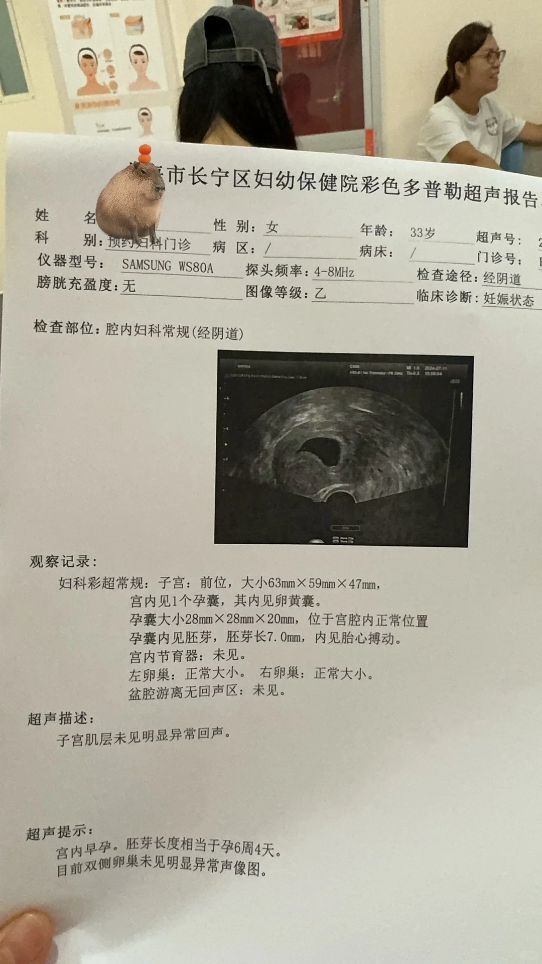 6周+4，已🈶️胎心胎芽，但是为啥啥都看不到？