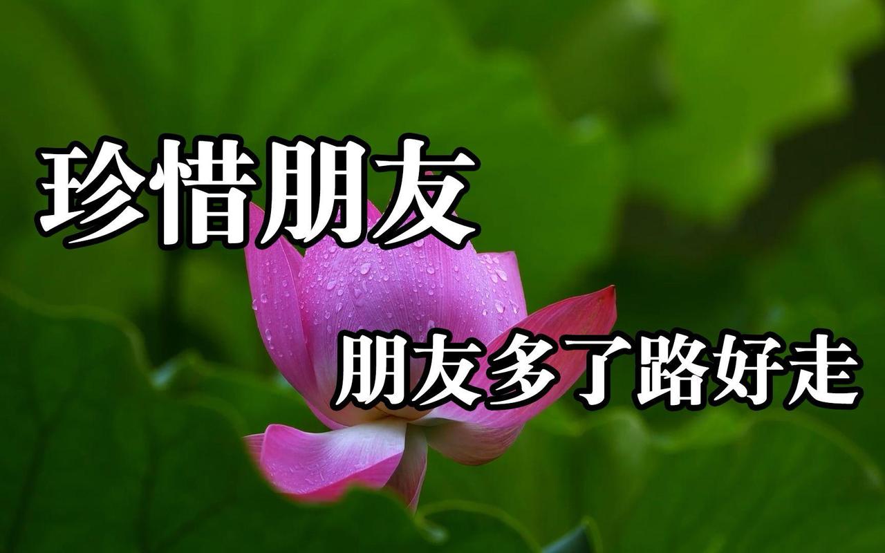 我认为越多越好
朋友当然是越多越好。朋友越多，生活的圈子就越大，遇到不同的人和事