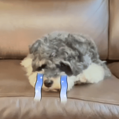 完蛋……现在放下手机……居然经常无法正常入睡……