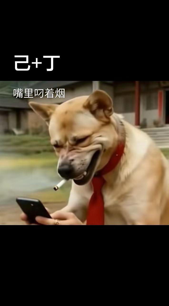 国学开悟 图片来自网络。