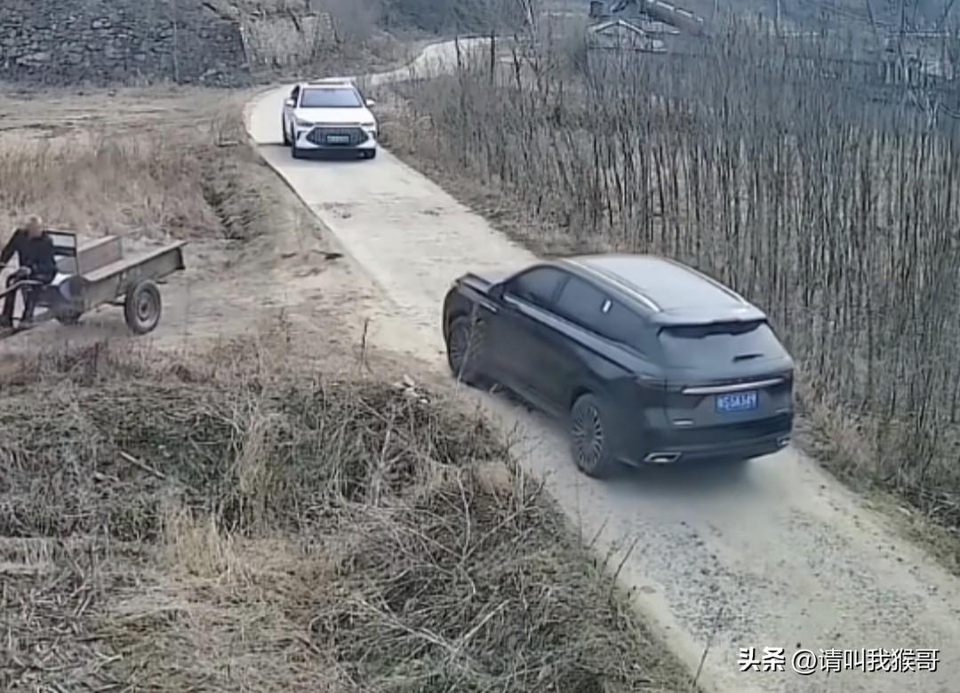 都是开车的人，这是来自农村司机最高的礼让