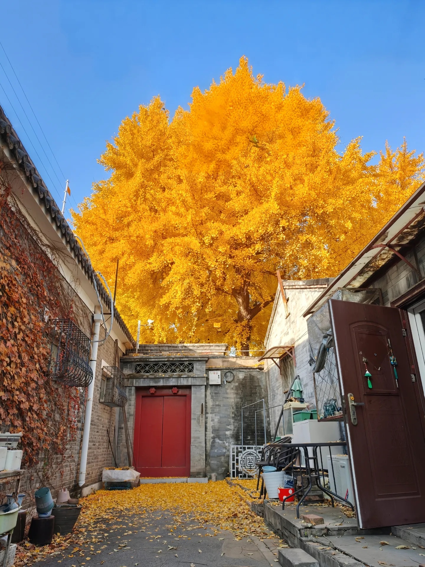 接下来就是北平之秋📷/最尊重立秋的城市出现了