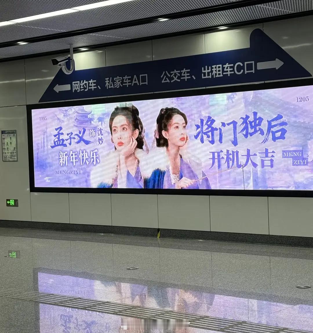 孟子义有《将门毒后》的地广了…这部剧已经官宣了吗？