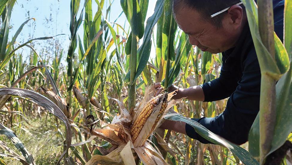 新刊速递｜2025年12月《时代邮刊》（新中年）来了！