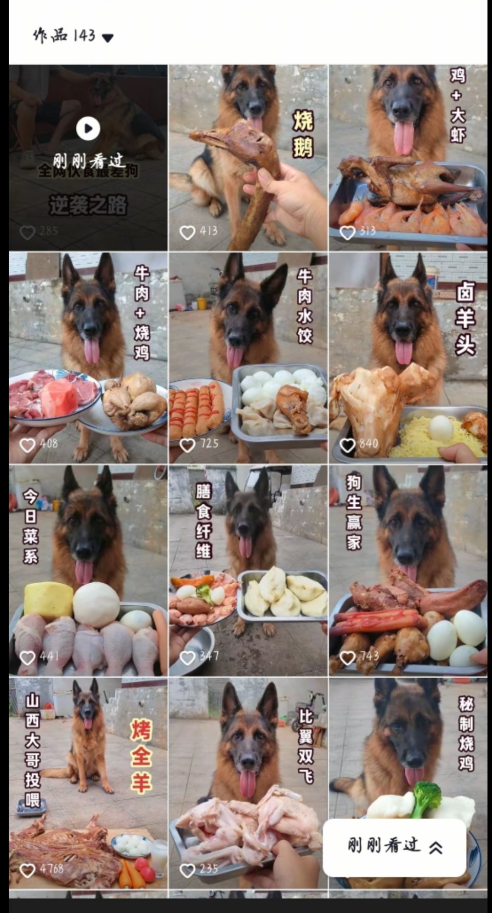 全网伙食最差狗子狗狗吃的比人都好我服了哈哈哈 