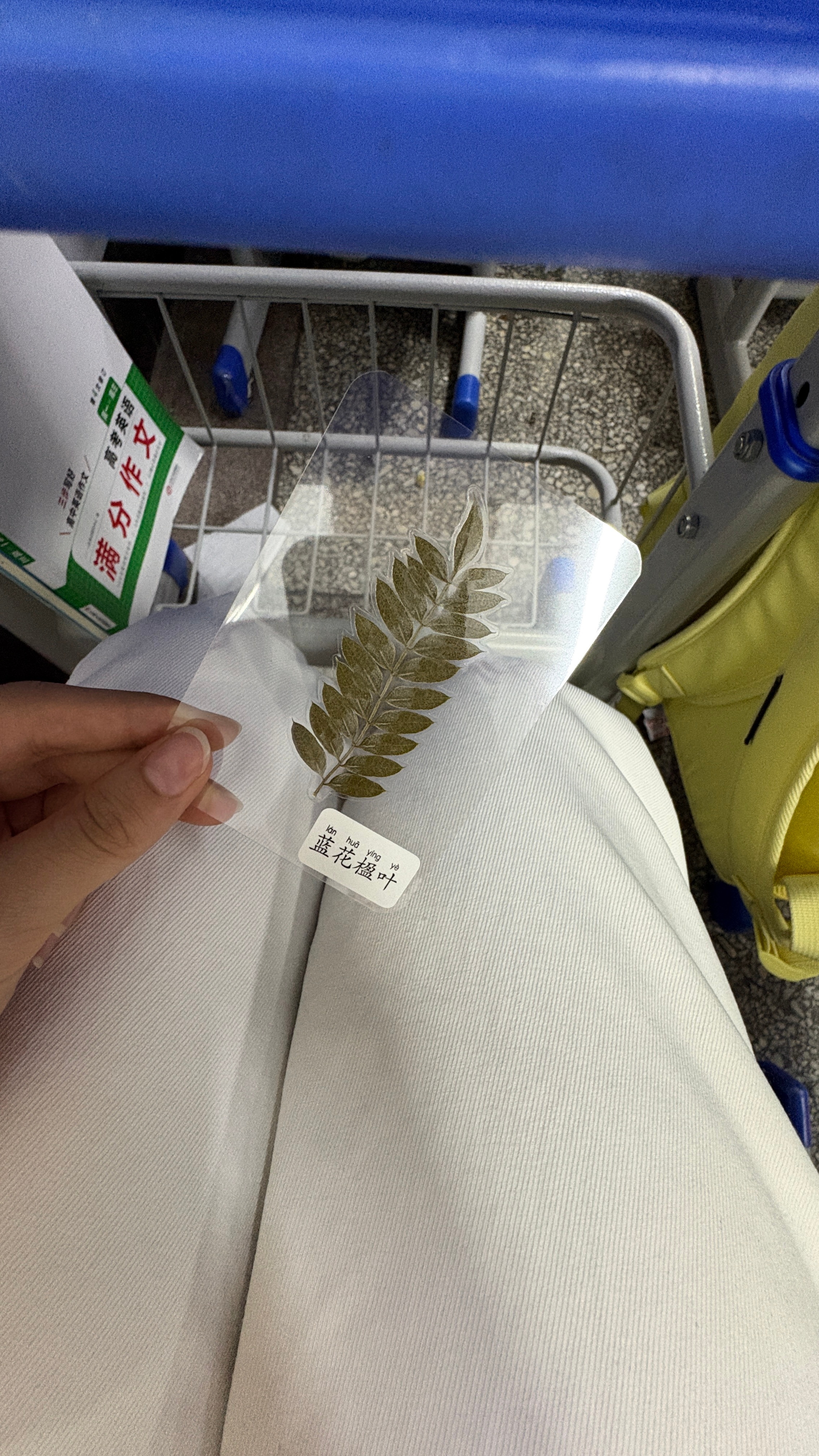 生物老师送的
