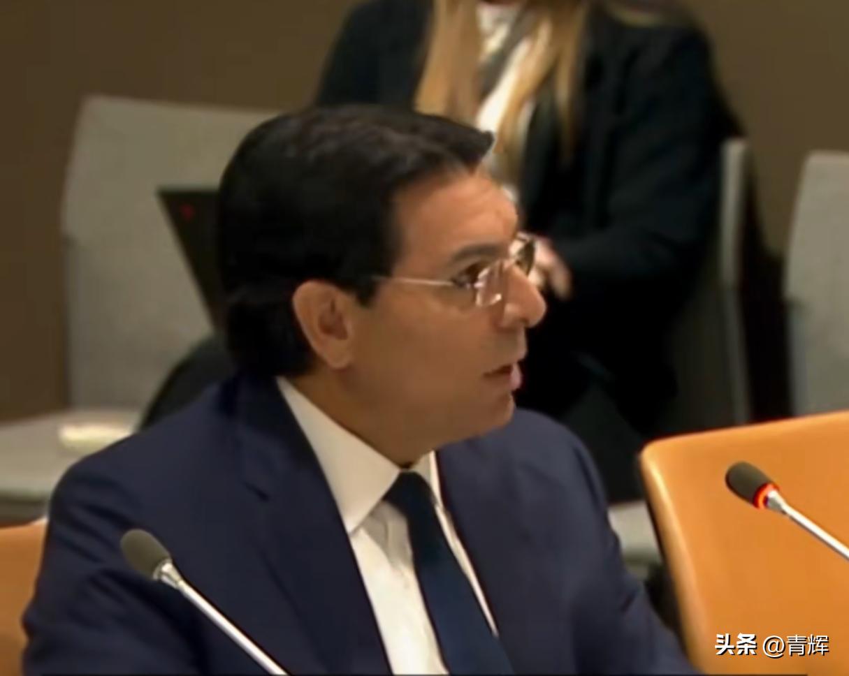 我绝不允许你们欺负我们！以色列驻联合国代表现场咒骂工作人员
6月19号，在联合国