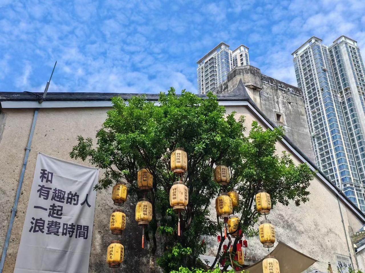 和有趣的人一起浪费时间

淡绿窗帘隔开正午阳光
咖啡渐渐变凉
我们低语
像两片叶