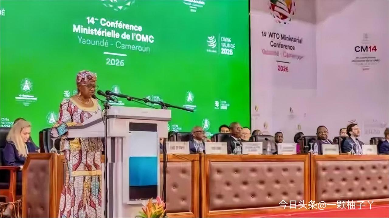 因为WTO改革迟迟没进展、争端解决机制瘫痪，欧盟干脆不苦等了，2025年11月和