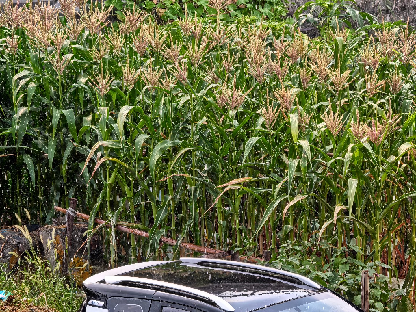 遭不住了，杭州萧山是不是人工降雨了？现在降雨和下开水一样[允悲][允悲]突然一下