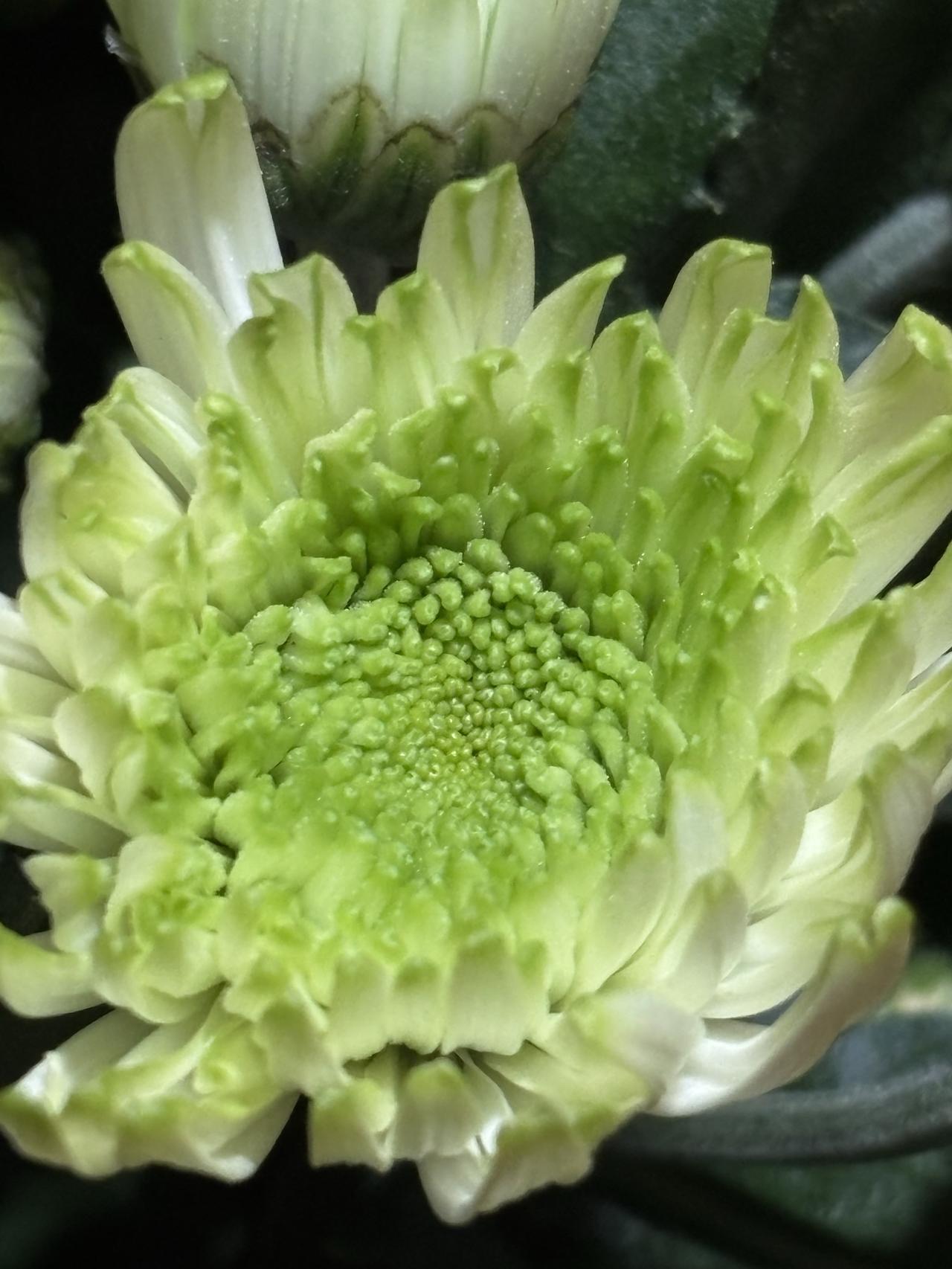 秋天夜晚的风是凉的，今天终于跑出暴汗啦，很是通透，前几天跑怎么也不出汗，还是力度