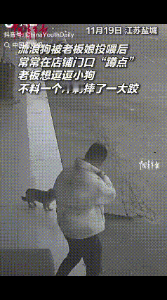 “笑不活了！”流浪狗被一家店老板板娘投喂后，竟然“赖”在店门口不走了，老板觉得它
