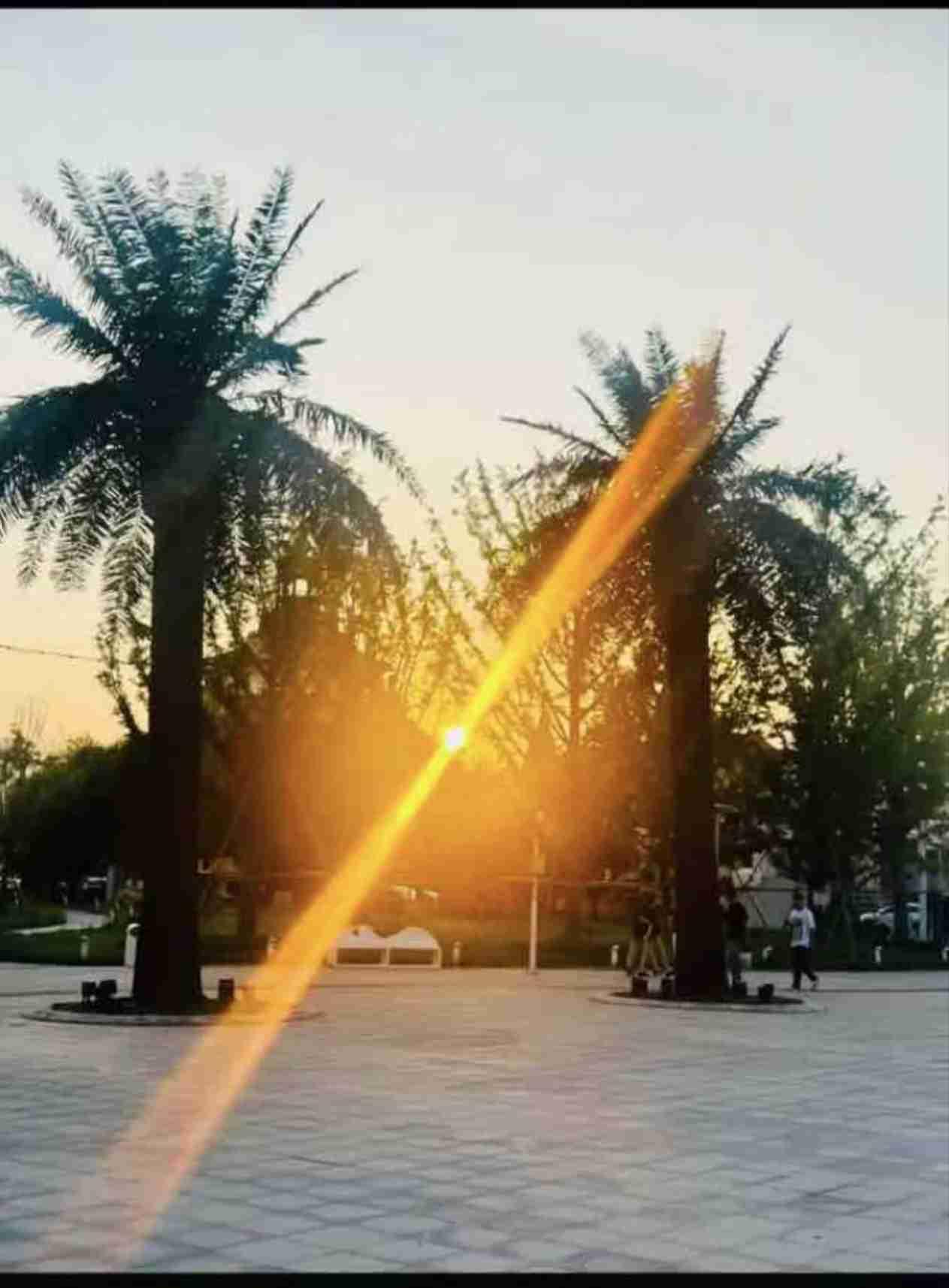 我的今日状态：😁轻松愉快
我这里的天气：☀️晴天
上联:若把沧桑研作墨，邀君赐