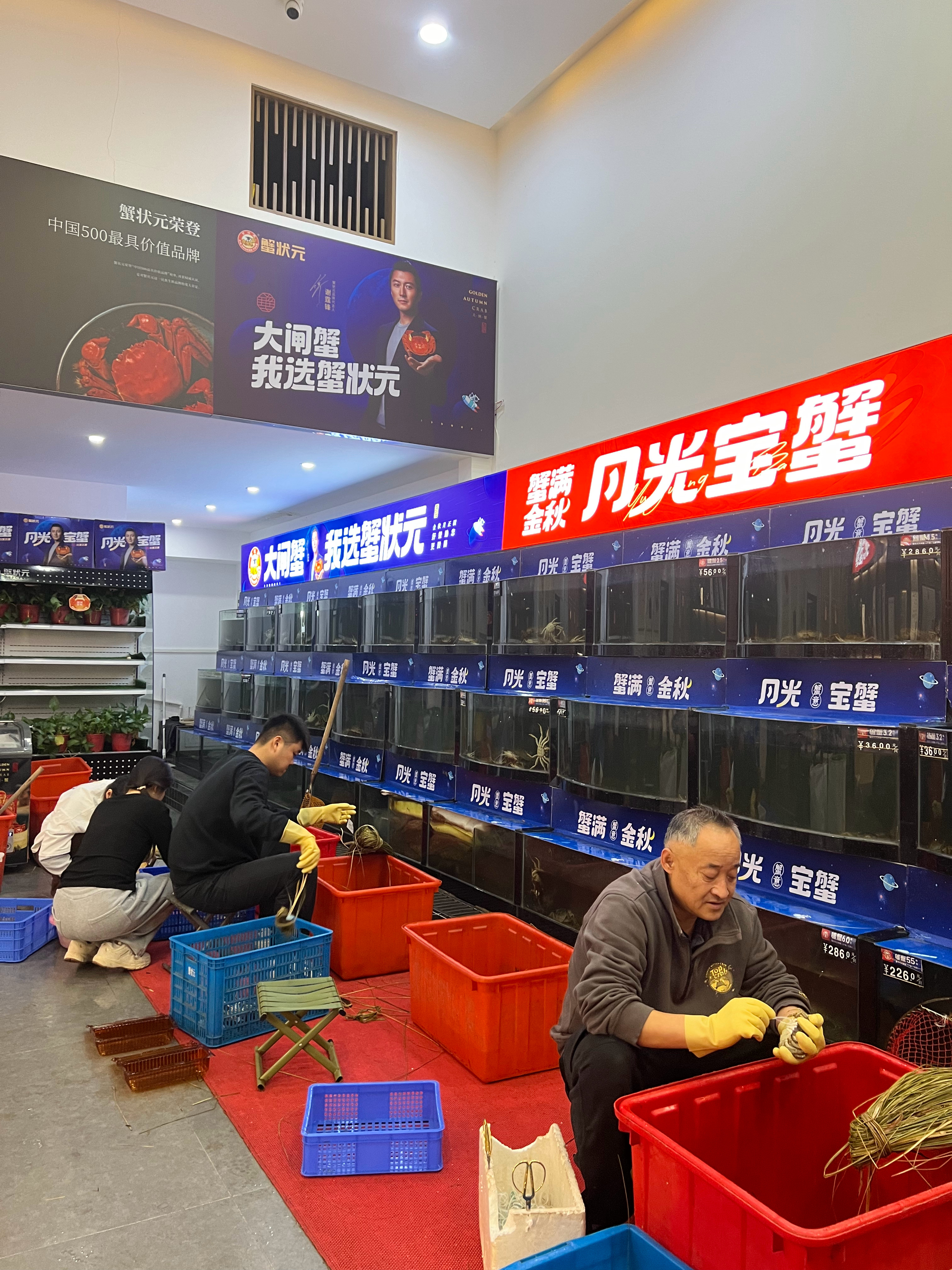 朋友送的蟹卡，来支持一下阿锋。我中学时代开始就超喜欢菲姐，也很喜欢他，巧了，居然