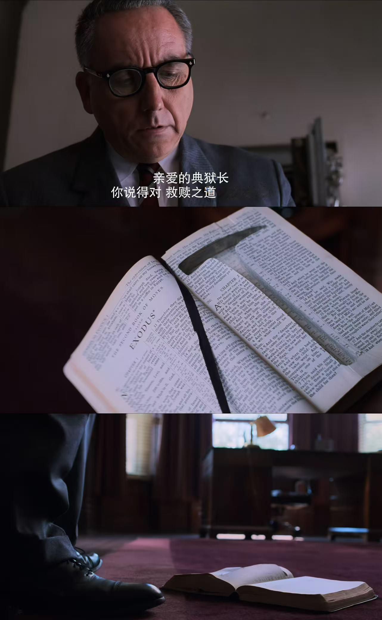 内娱明星群推的电影肖申克的救赎影史天花板的权威 各行各业都在夸的经典！戴锦华点出