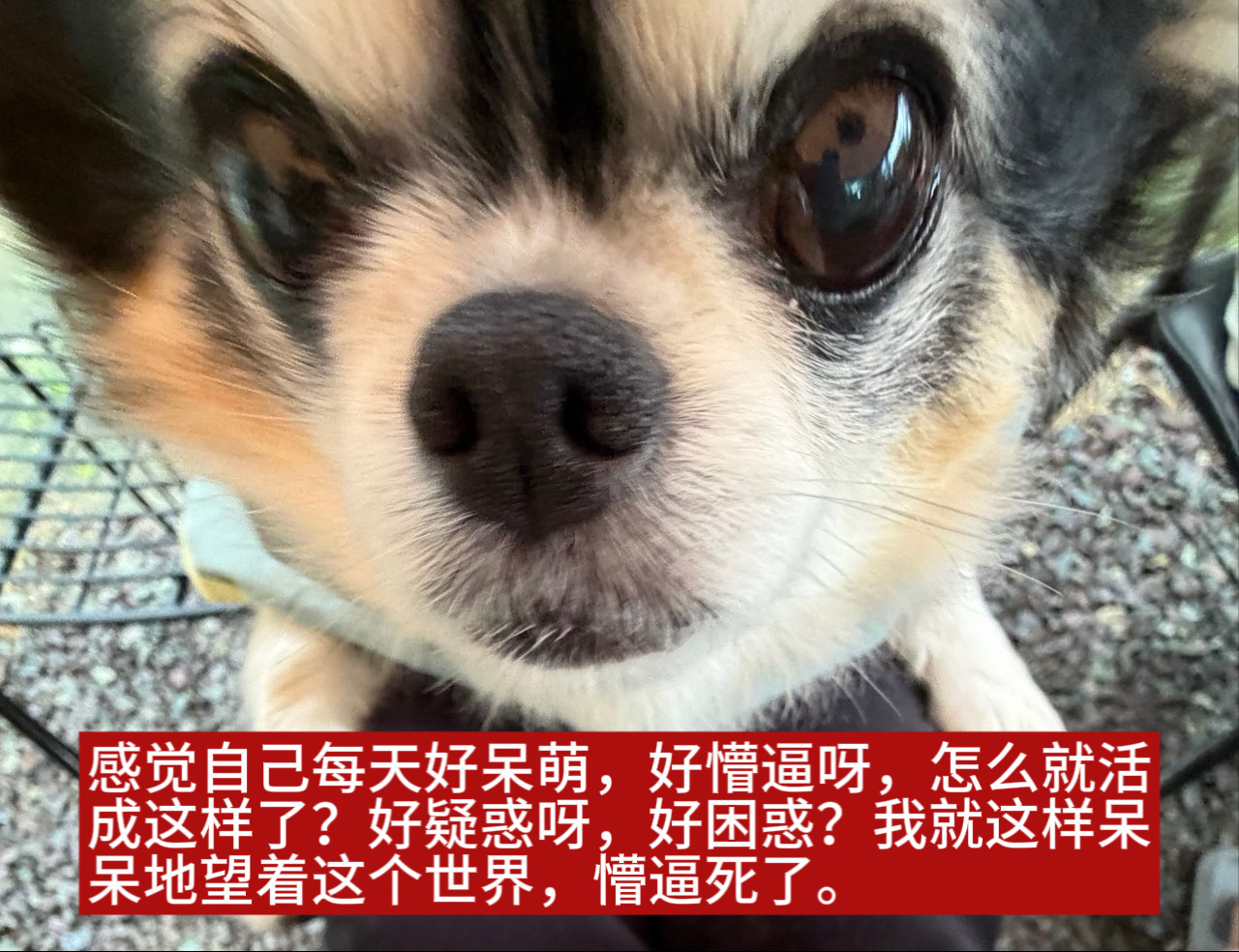 人，我呢？