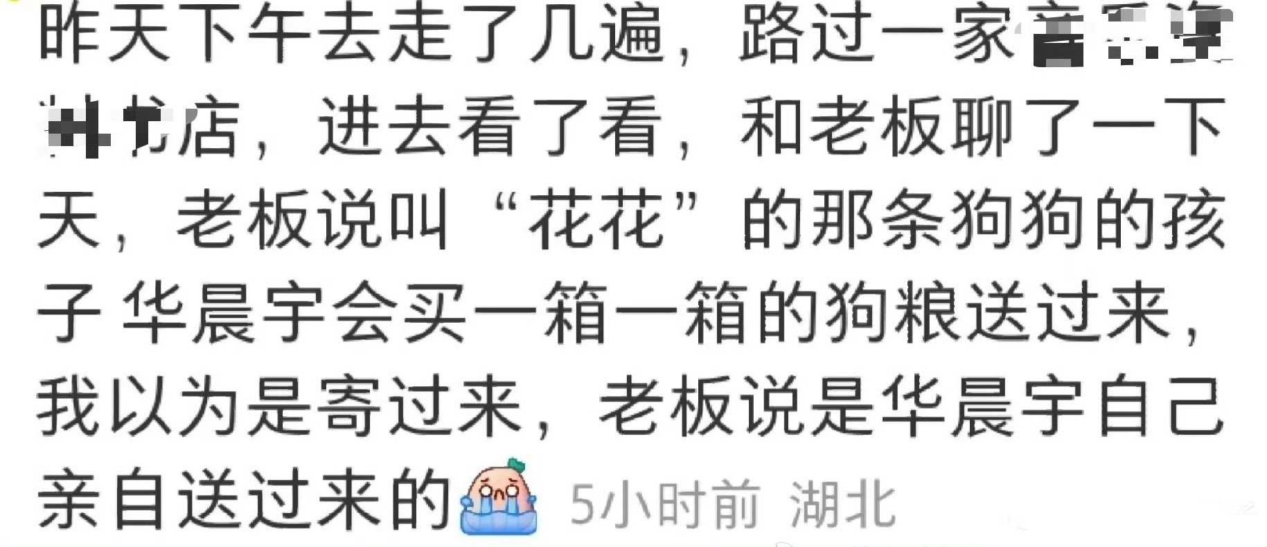华晨宇喂猫吃巧克力蛋糕 华晨宇又被下恶意词条了吧，根本没有人主动喂猫，他的生日蛋