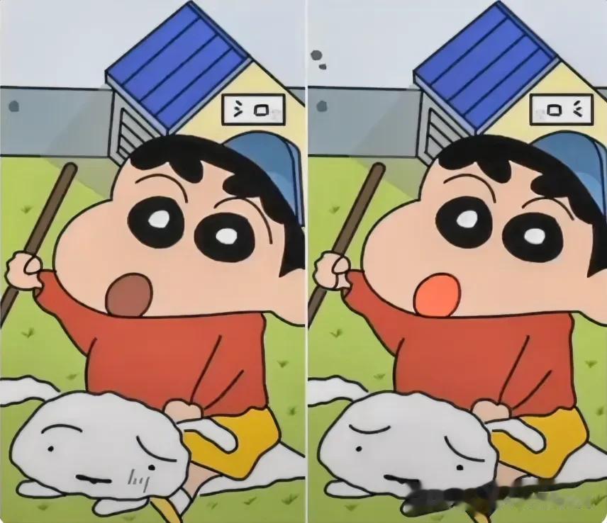小新考眼力
八处不同快找找[灵光一闪]