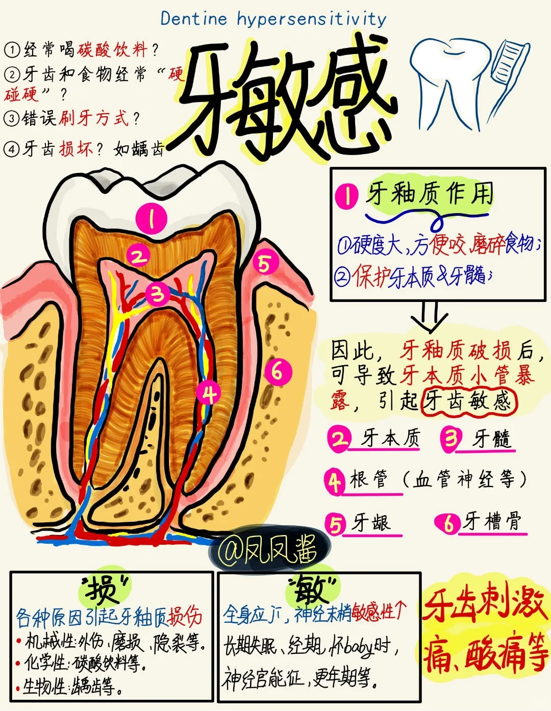 📖医学生笔记｜牙敏感 建议点赞收藏