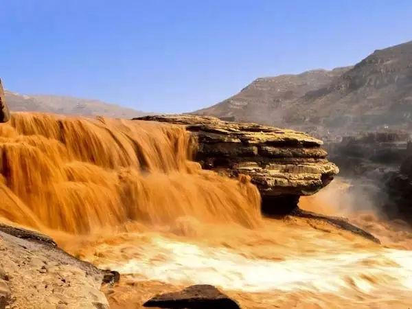 “我”安安稳稳地过自己的日子，没招谁没惹谁，却总有恶犬挑衅我!

搭理它们吧，耗