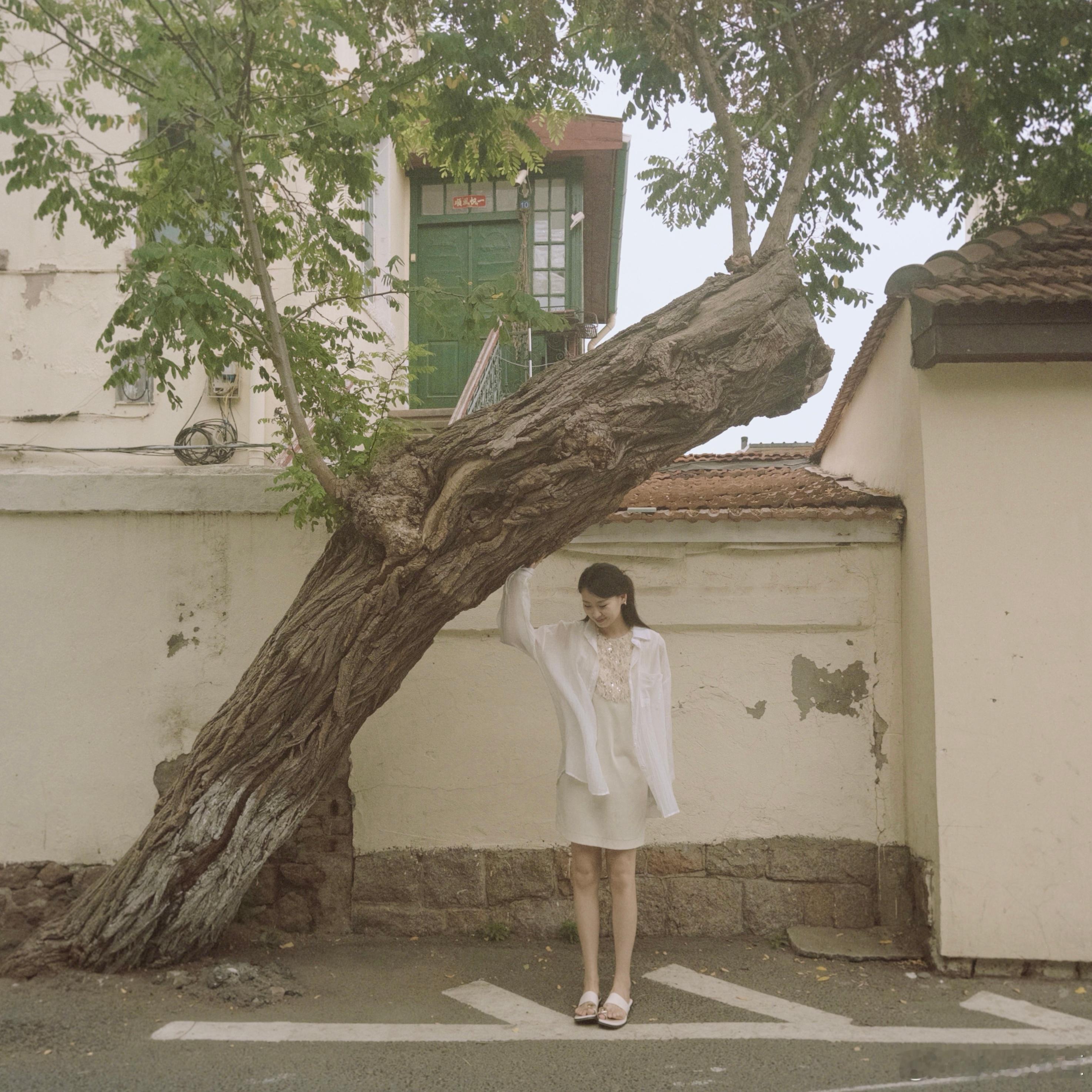 呼呼🍃  ​​​