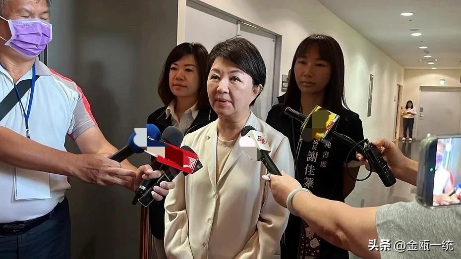 卢秀燕证实与王金平长谈：聚焦2026及2028选情

台中市长卢秀燕今天（29日