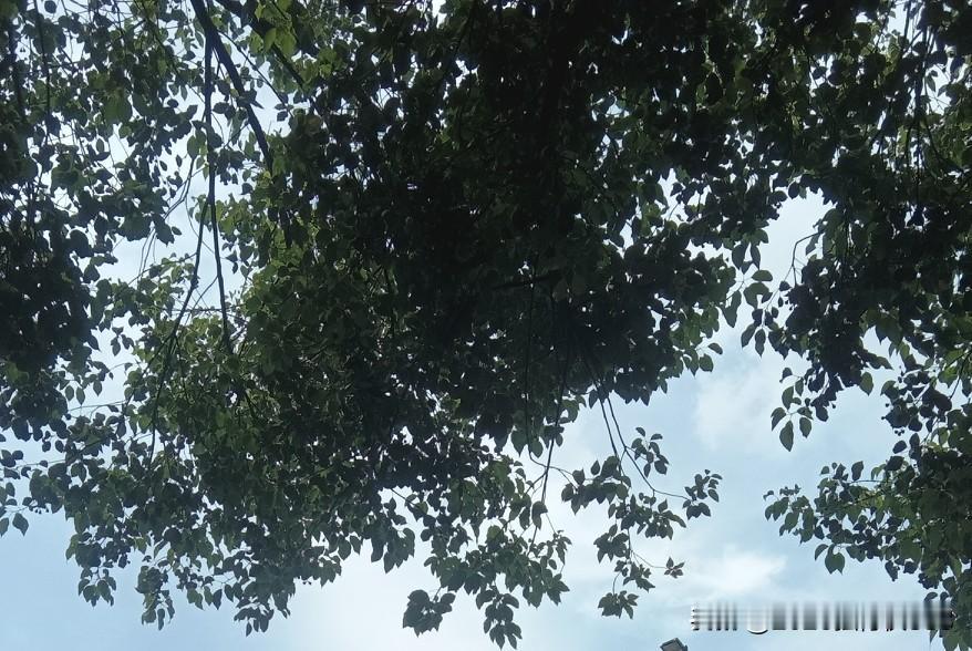 当下还守着“医不叩门”这信条的只有两种结局。

现在的个体诊所，纯西医的关的差不