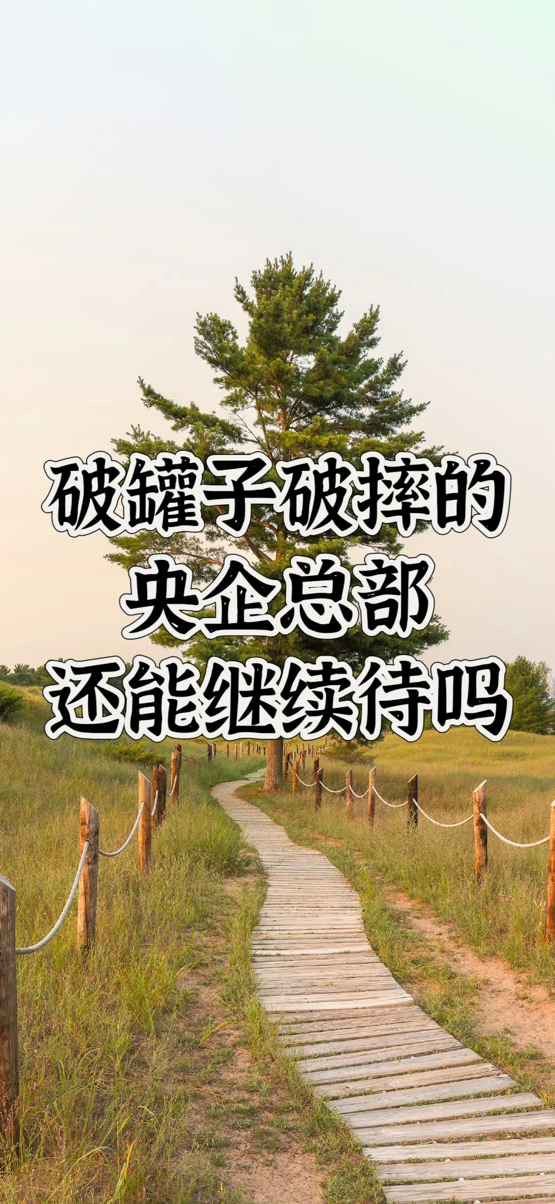 在央企总部破罐子破摔后该怎么办😭