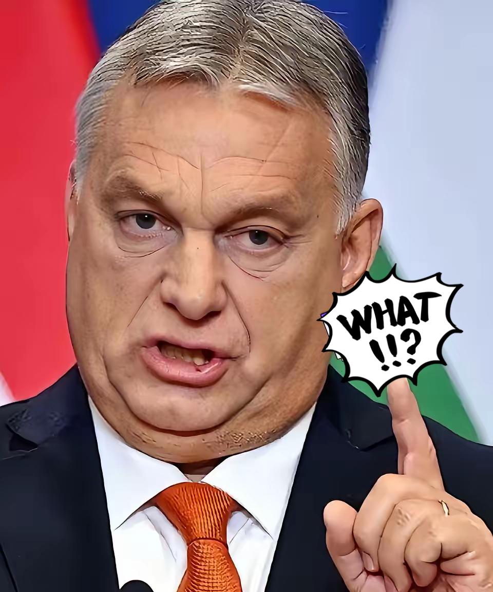 快讯！快讯！。
 
匈牙利总理欧尔班突然宣布了。
 
据其社交媒体信息，欧尔班表